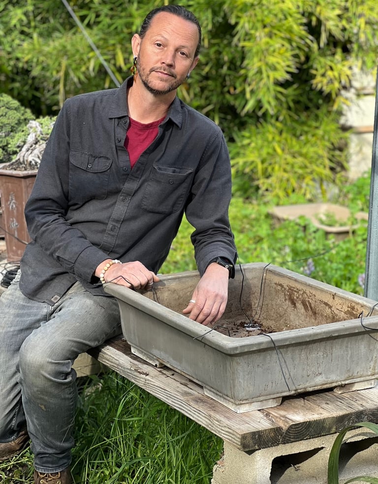 Colin Fraser Purcell, Bonsai Artist