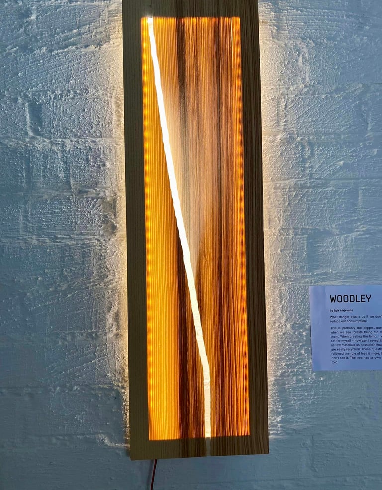 LIMITED EDITION WALL LIGHT BY EGLE ALEJEVAITE WWW.EGLEDESIGN.NET