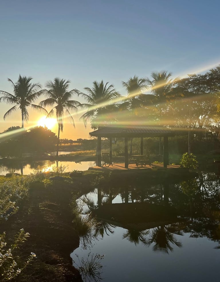 Área externa, piscina e rio do Rancho do Neneco - Rancho para alugar em Miguelópolis SP