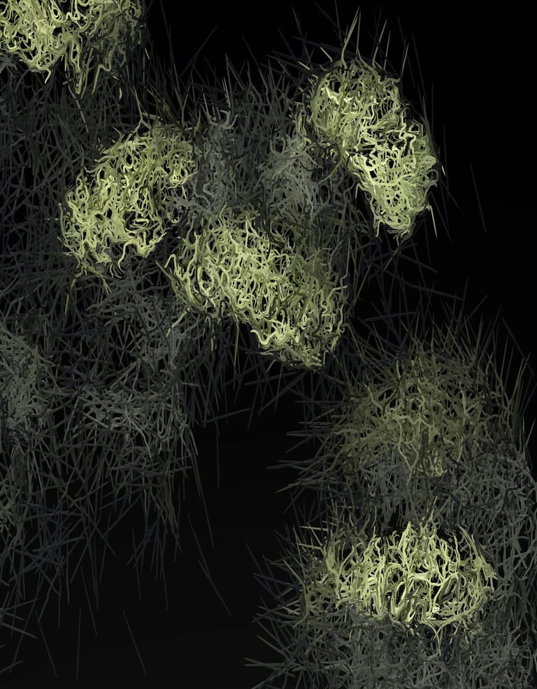 digital art, visual art, digital paintings, Joanna Wlaszyn