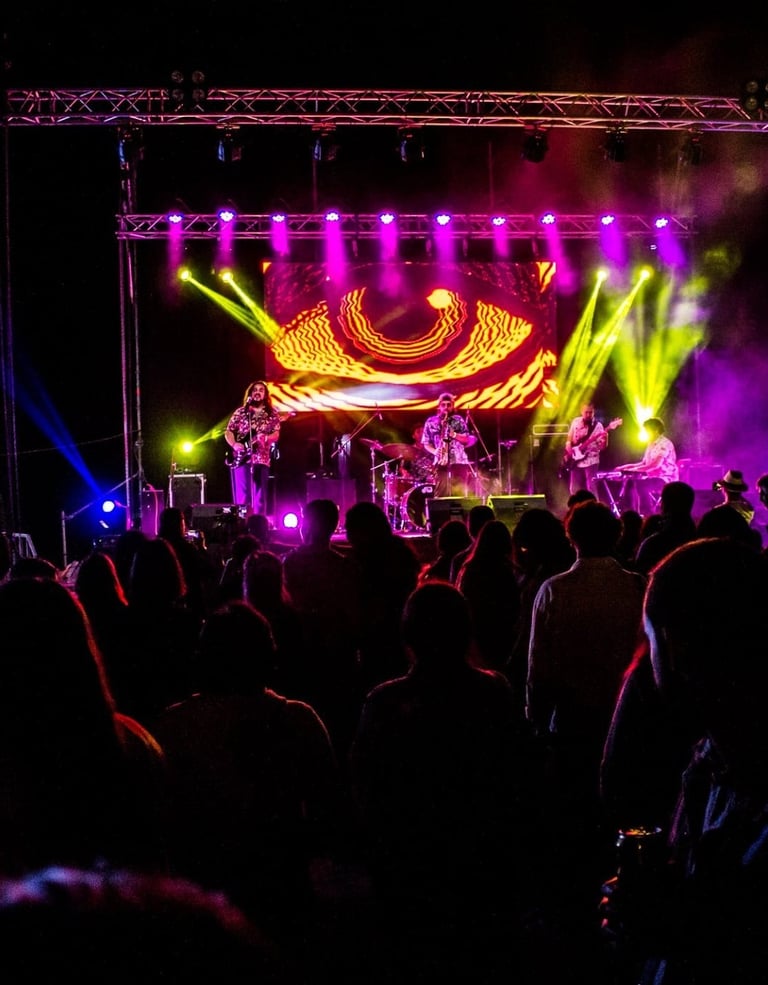 banda la doctrina en vivo fotografia desde el publico masivo en el concierto