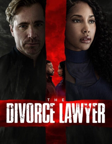 The Divorce Lawyer