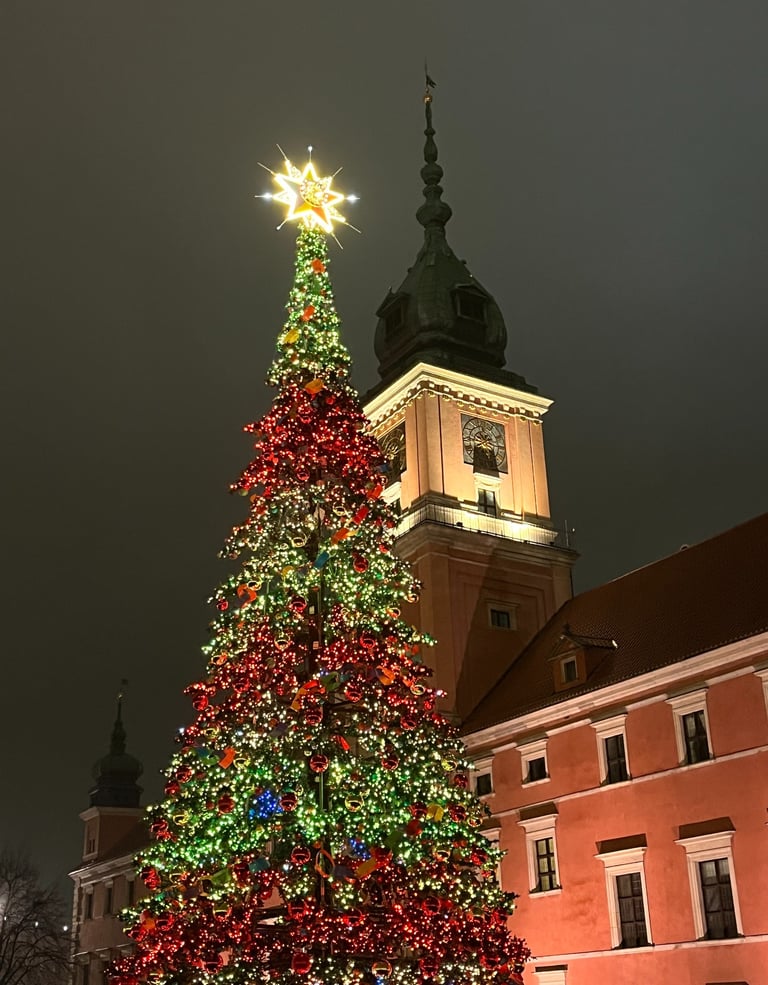 Royal Castle and Christmas tree warsaw