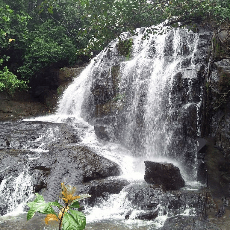 Algama Falls