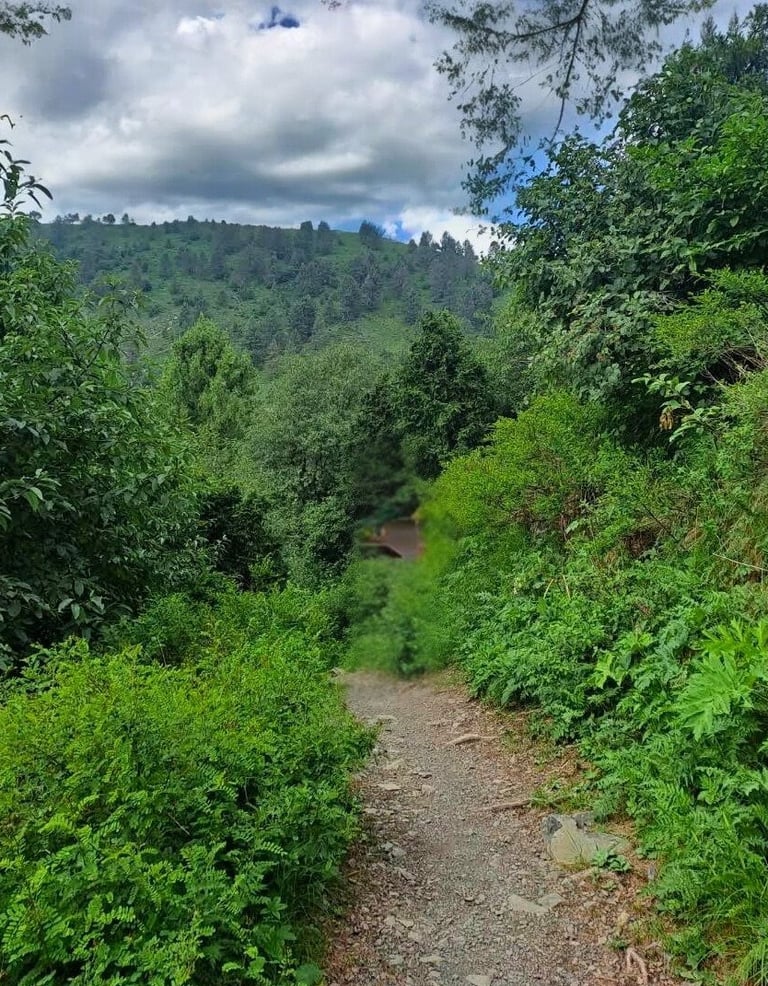 Miranjani track 