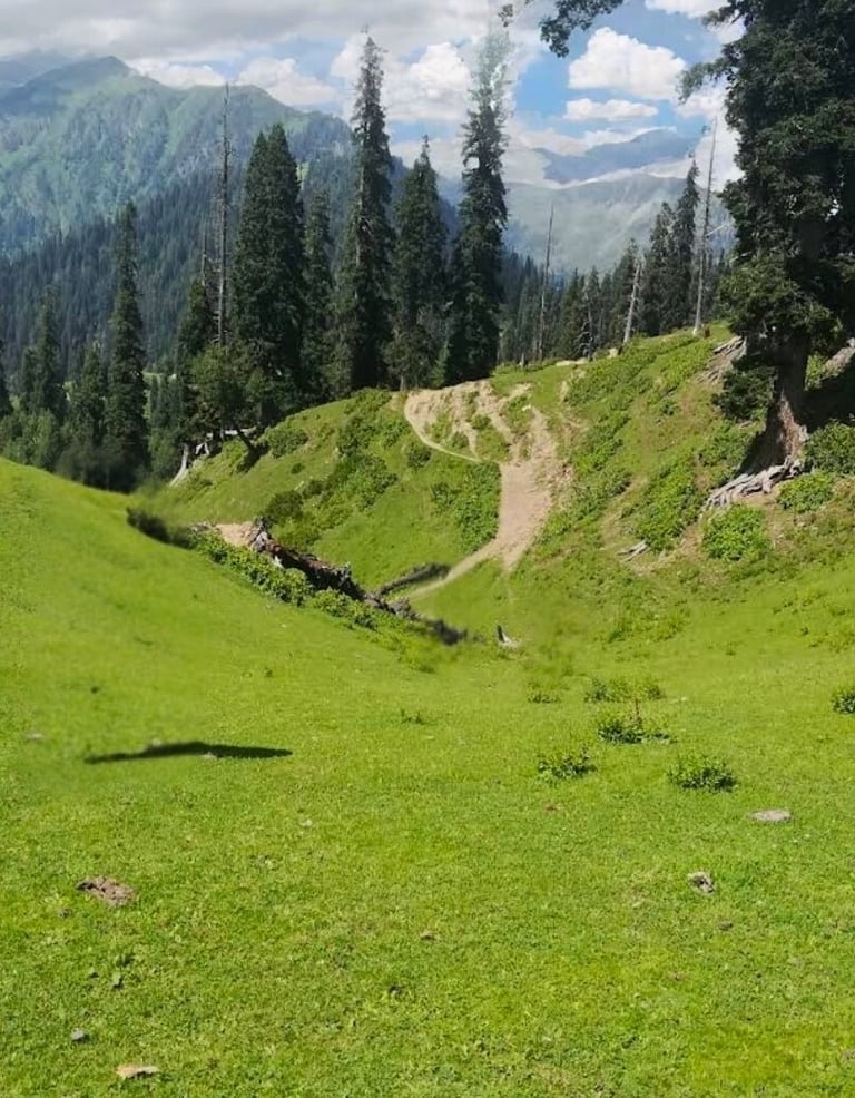 Lush green view from miranjani top 