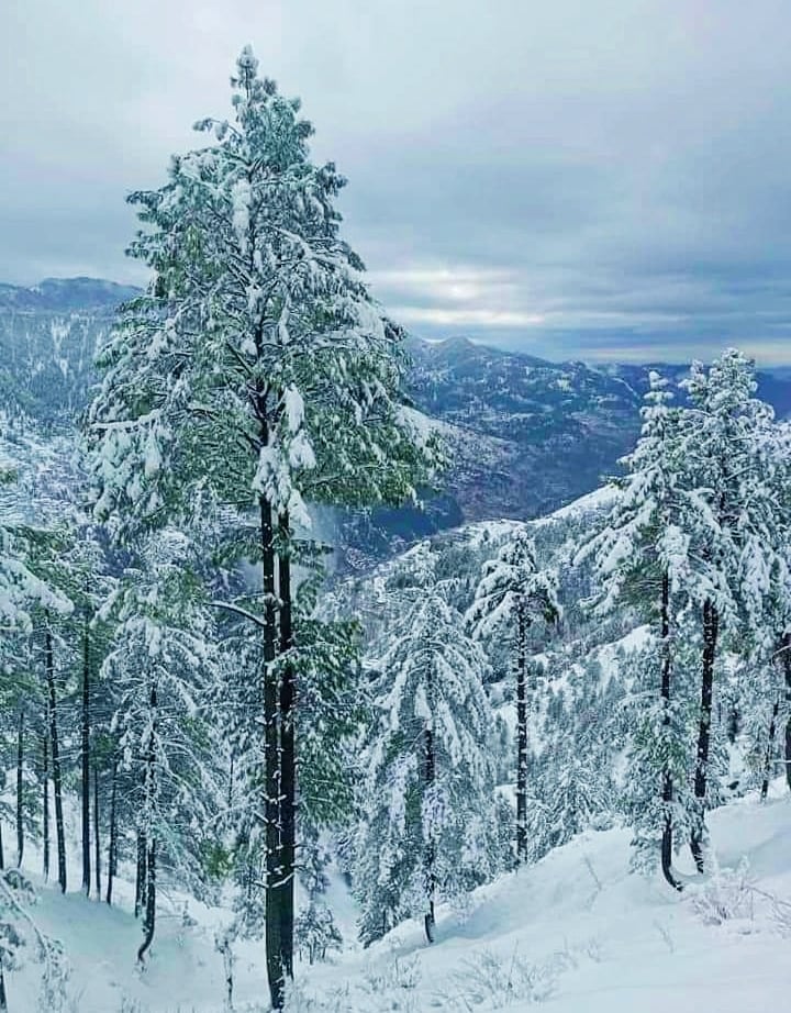 Snowfall picture taken from thandiani