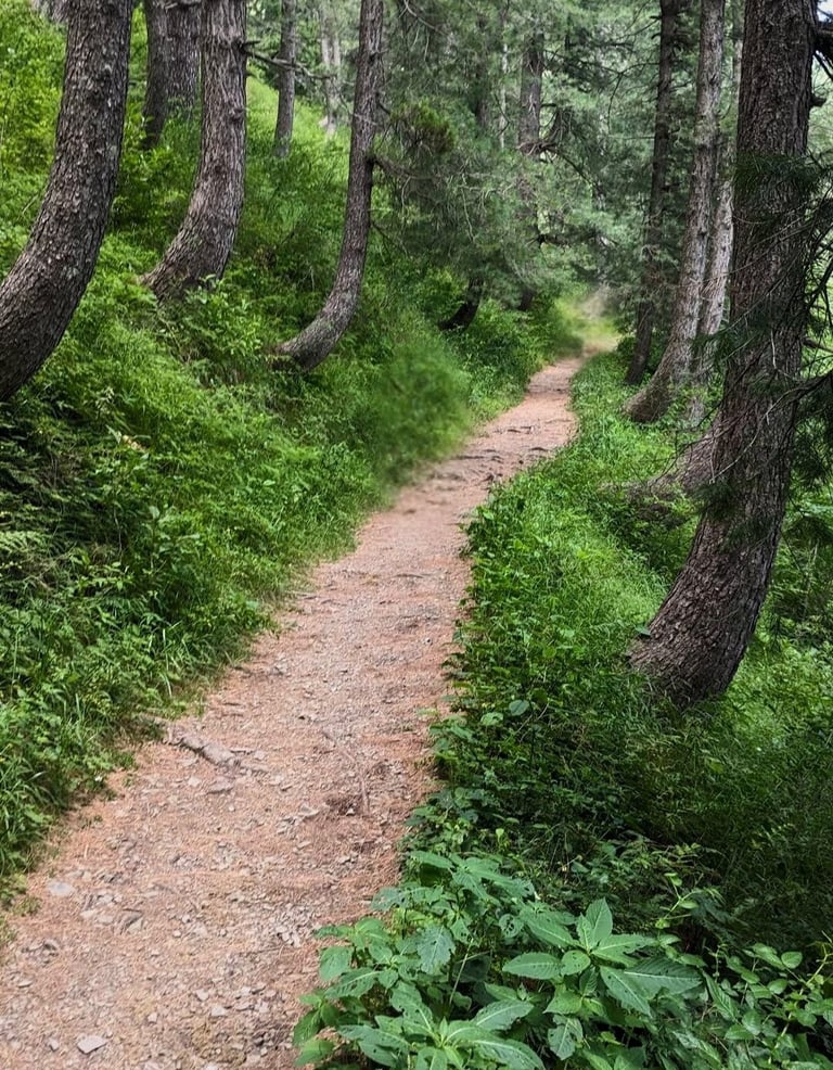 Miranjani track