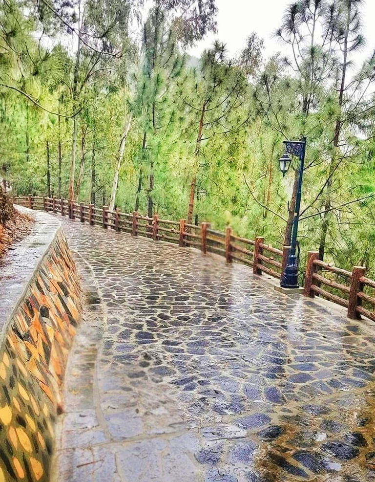 Shimla hill Abbottabad track
