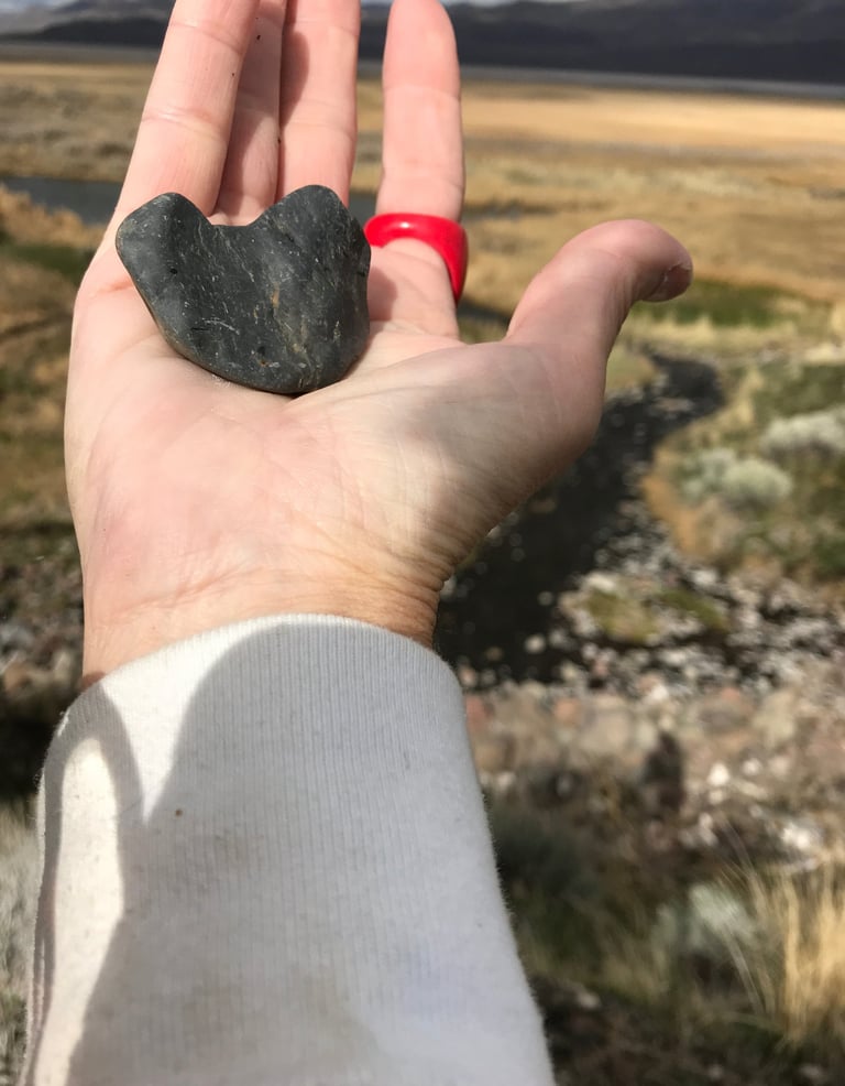 Surprise Valley Rocks