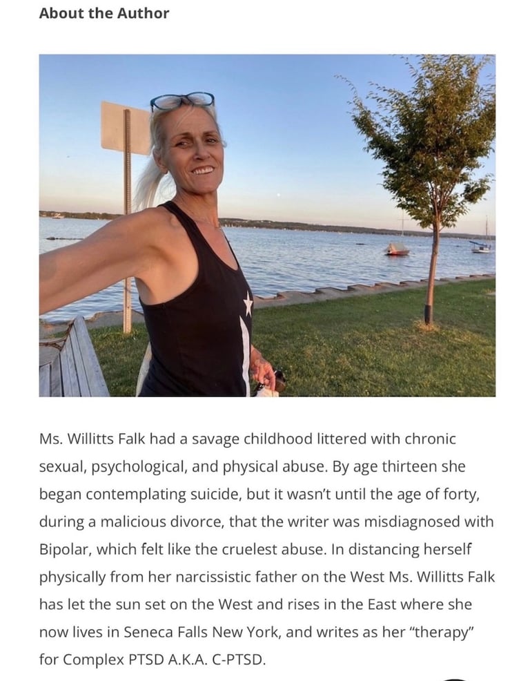 Shannon Willitts Falk the writer