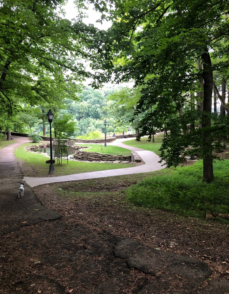 Pathway at Letchworth State Park New York