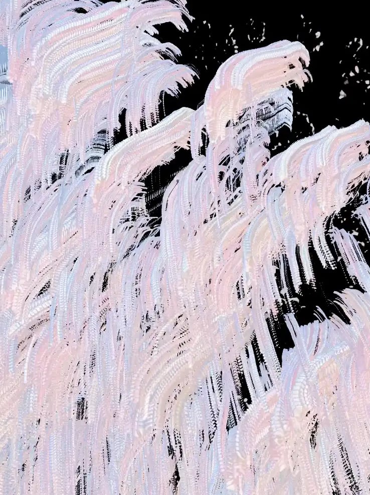 digital art, video installation,  joanna wlaszyn