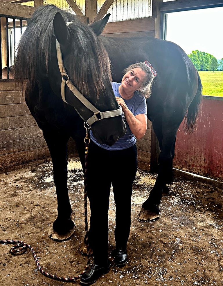 Danna Antoine, certified bodyworker, connecting with a huge draft horse during a bodywork session.