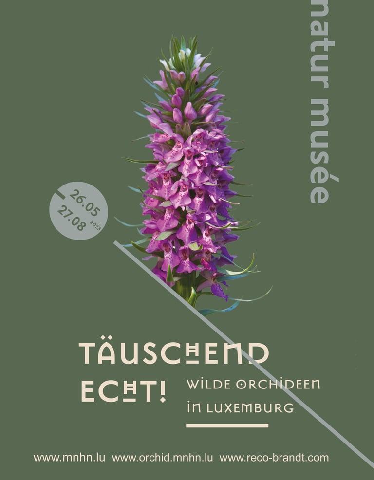 flyer von Orchideenausstellung von Sebastian Brandt am Musee National Luxemburg