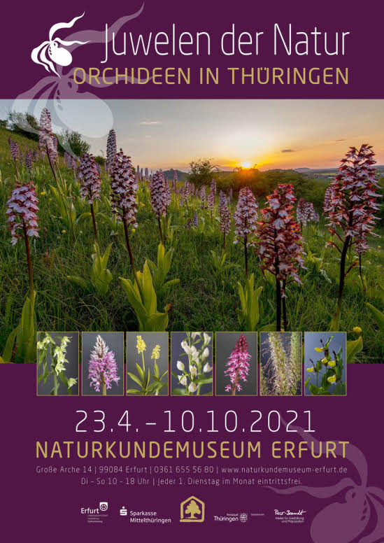 Ausstellungsplakat Orchideenausstellung am Naturkundemuseum von Sebastian Brandt