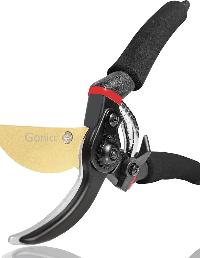 Professional Premium Titanium Bypass Pruning Shears