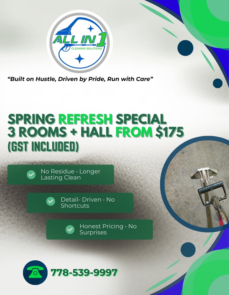 3 Rooms+Hall from $175 No residue Detail-driven cleaning Honest prices Limited Seasonal Availability