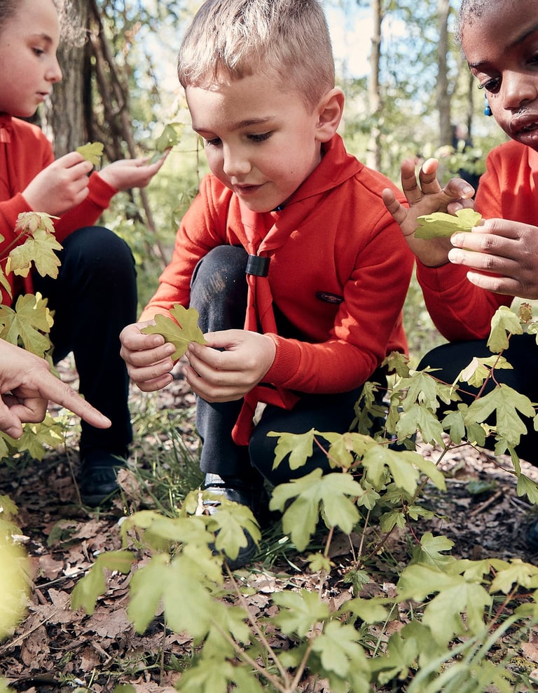 A young person closely examining a leaf surrounded by friends in woodland.
