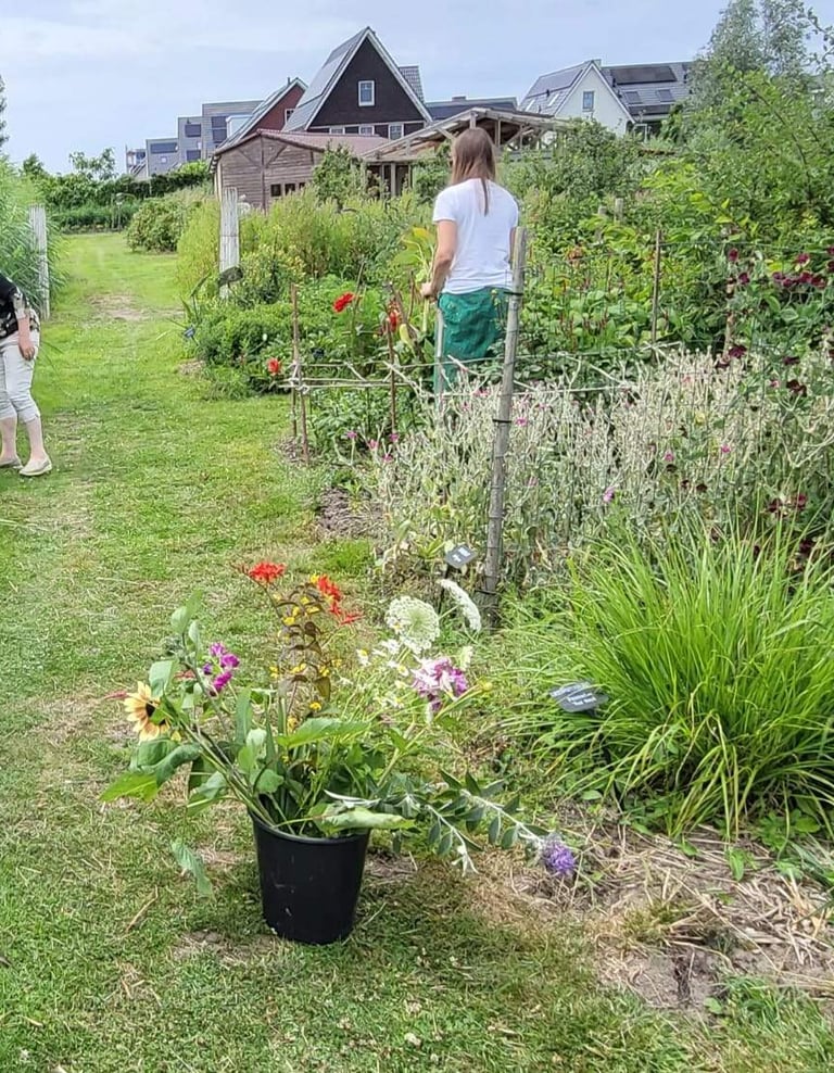 Een emmer met bloemen wordt geplukt in de bloementuin