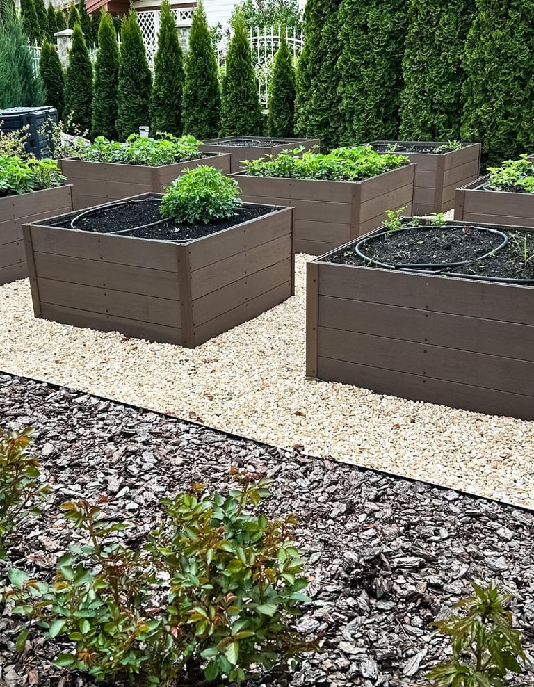 Garden area with raised wooden beds and drip systems on gravel, framed by fir trees acting as a natu