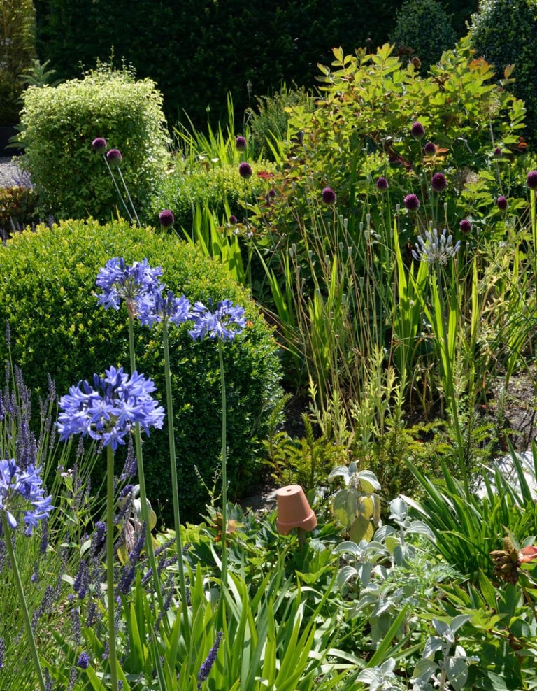 A close-up of a flower bed with mixed plants and a neatly rounded trimmed bush showcasing Hedgie Wil