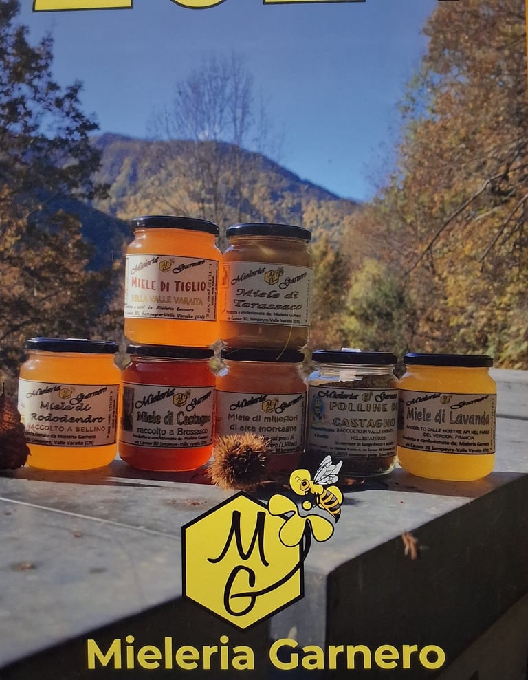 Barattoli di miele e propoli della mieleria Garnero su un arnia, con sfondo montagne.