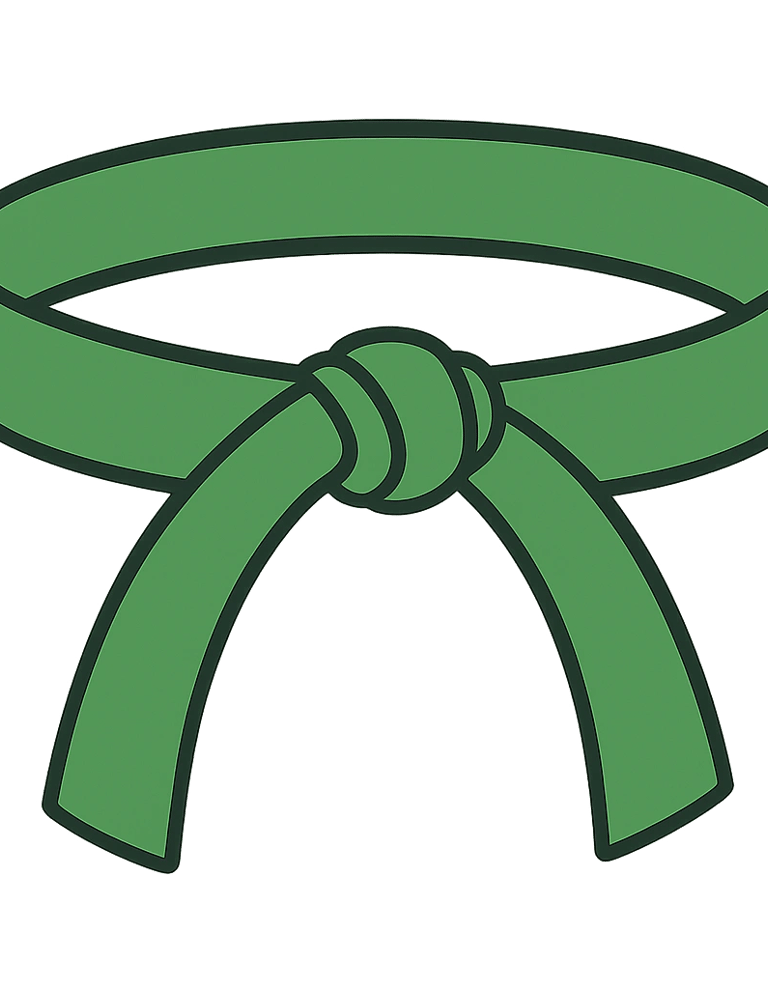 A green martial arts belt icon representing karate rank achievement on a black background.