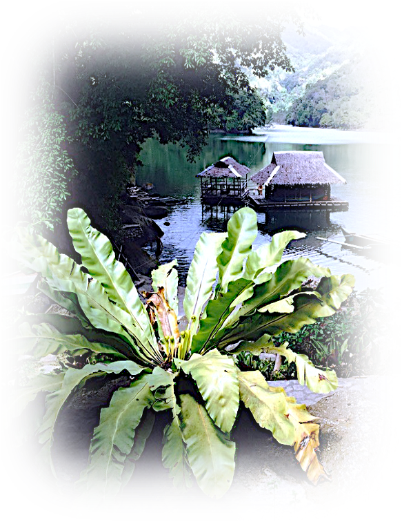 a picture of a woman sitting on a bench in front of a lake