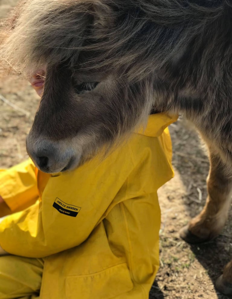La tête d'un poney sur l'épaule d'une enfant lors d'une séance d'équithérapie
