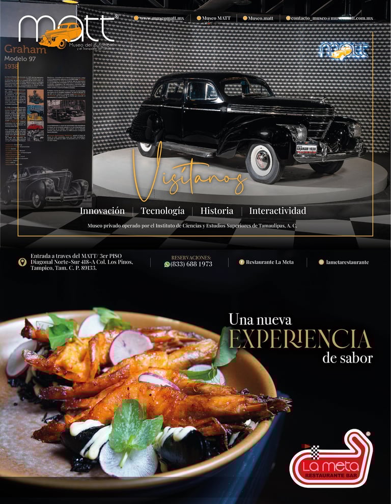 PLANA REVISTA ALTHER/ MATT/ LA META