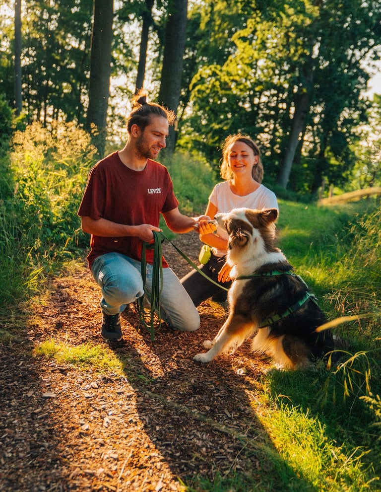 Coaching-Situation: einfühlsame Begleitung von Mensch und Hund bei Takoda