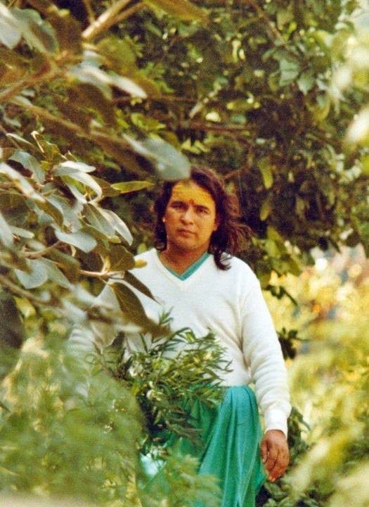 Shri Babaji nel giardino di Hairakhan