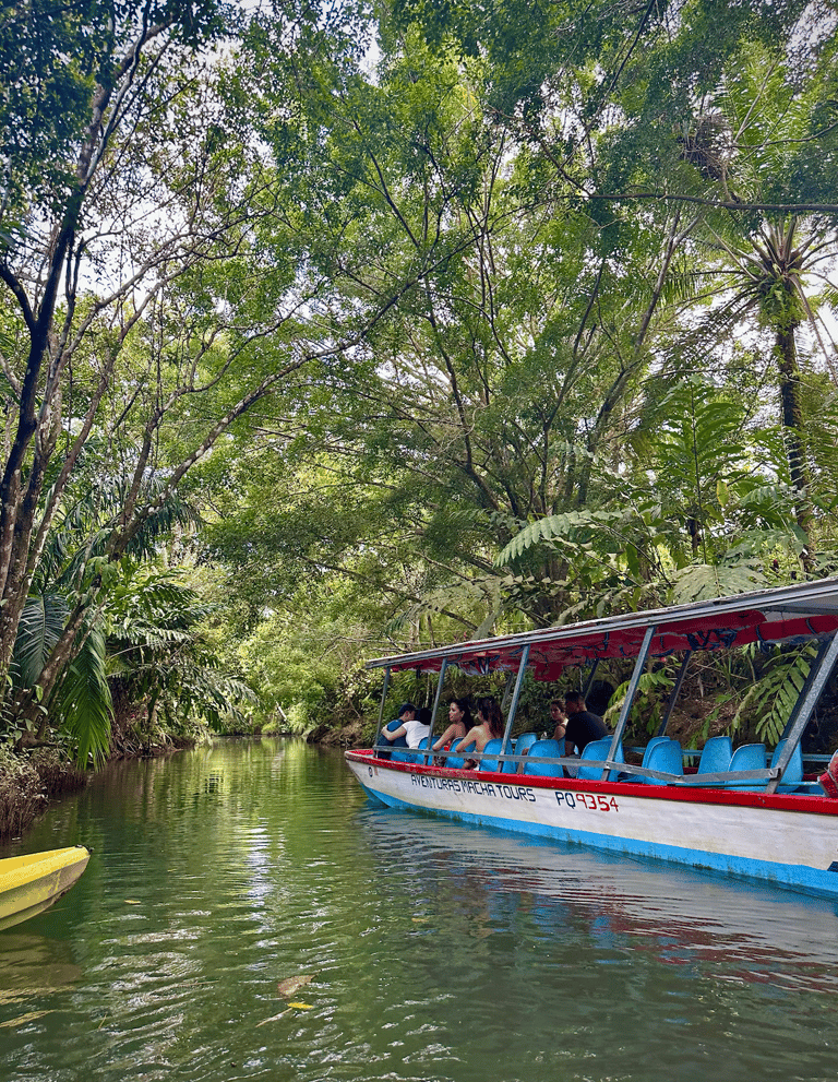mangrove tour, manual antonio national park, costa rica boat tour
