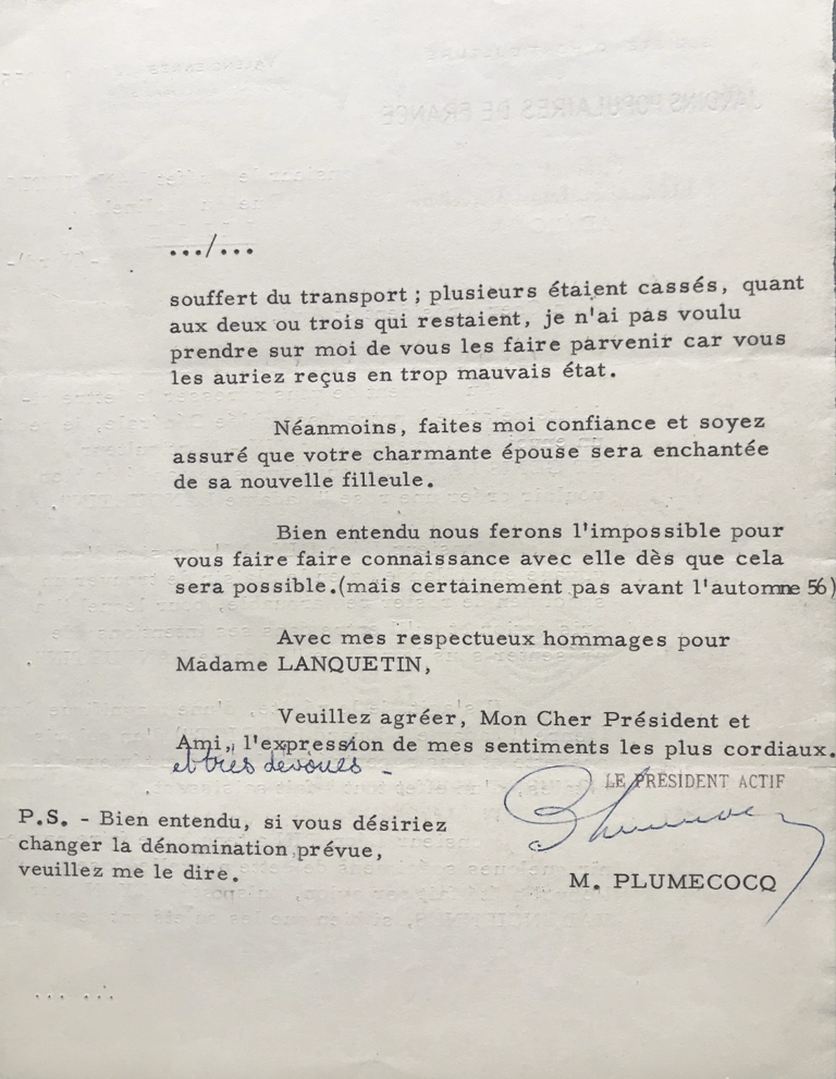 la rose Madame lanquetin 1955