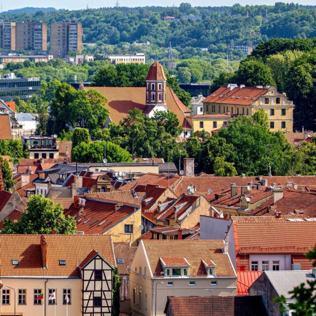 Vilijampolės namų įvairovė