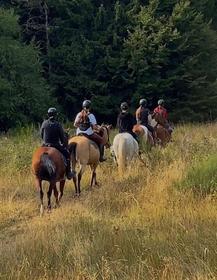 Randonnée à cheval sur le plateau ardéchois