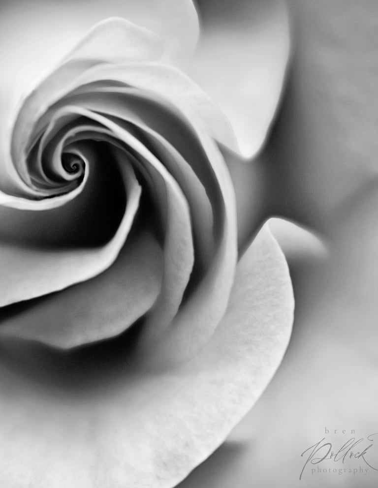 Bren Pollock Photography