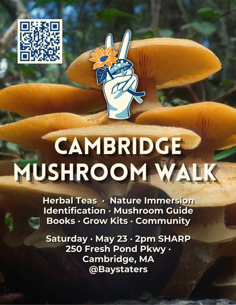 Poster for a Cambridge mushroom walk event featuring golden wild mushrooms and event details.