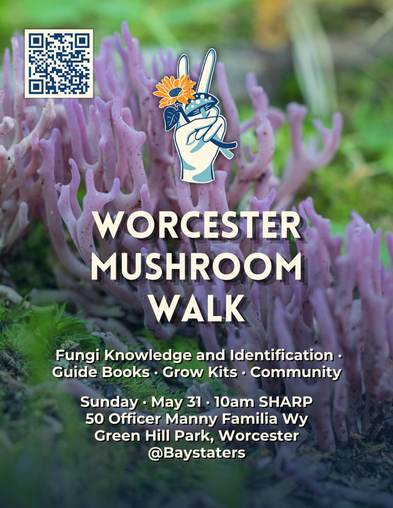 Worcester Mushroom Walk event flyer featuring purple coral fungi and event details at Green Hill Park.