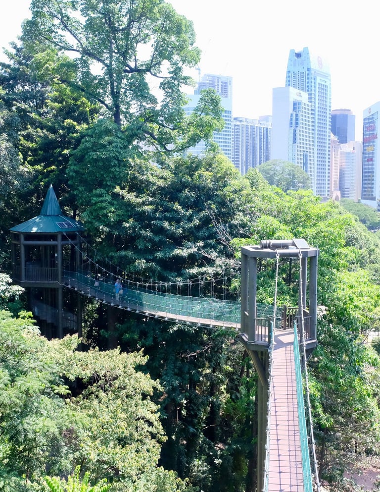 kl forest eco park
