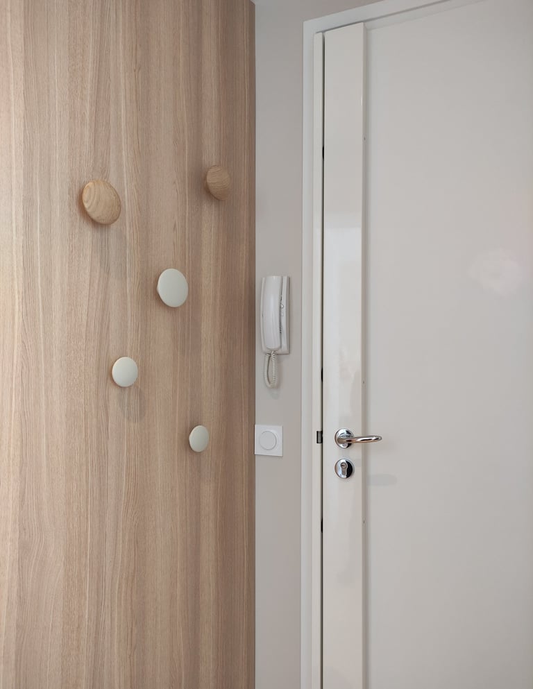 projet bouloi de carmela iannibelli architecte, entree