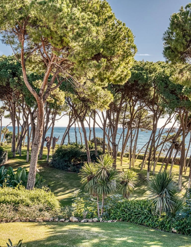 Private beachfront estate with manicured gardens and pine grove