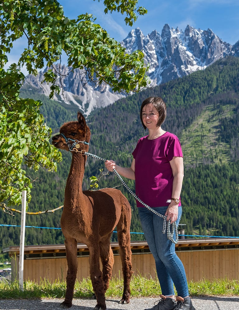 Karin and the Alpaca in front of the Dolomites