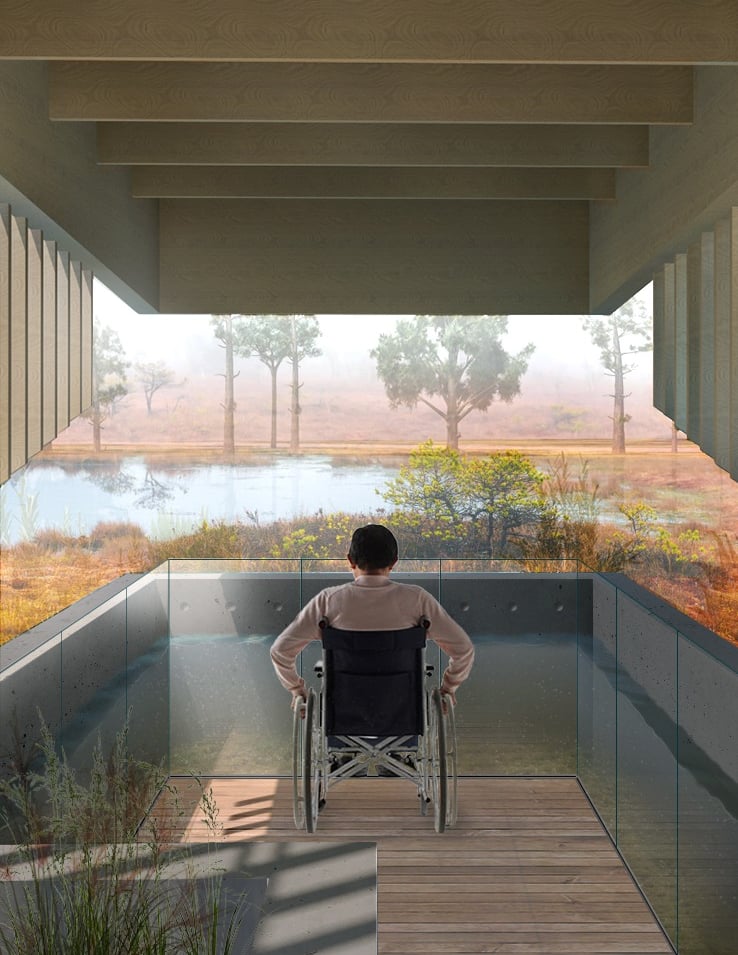 a rendering of a man in a wheelchair looking out over a bog