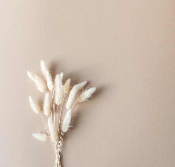 Accompagnement en naturopathie pour retrouver équilibre et vitalité