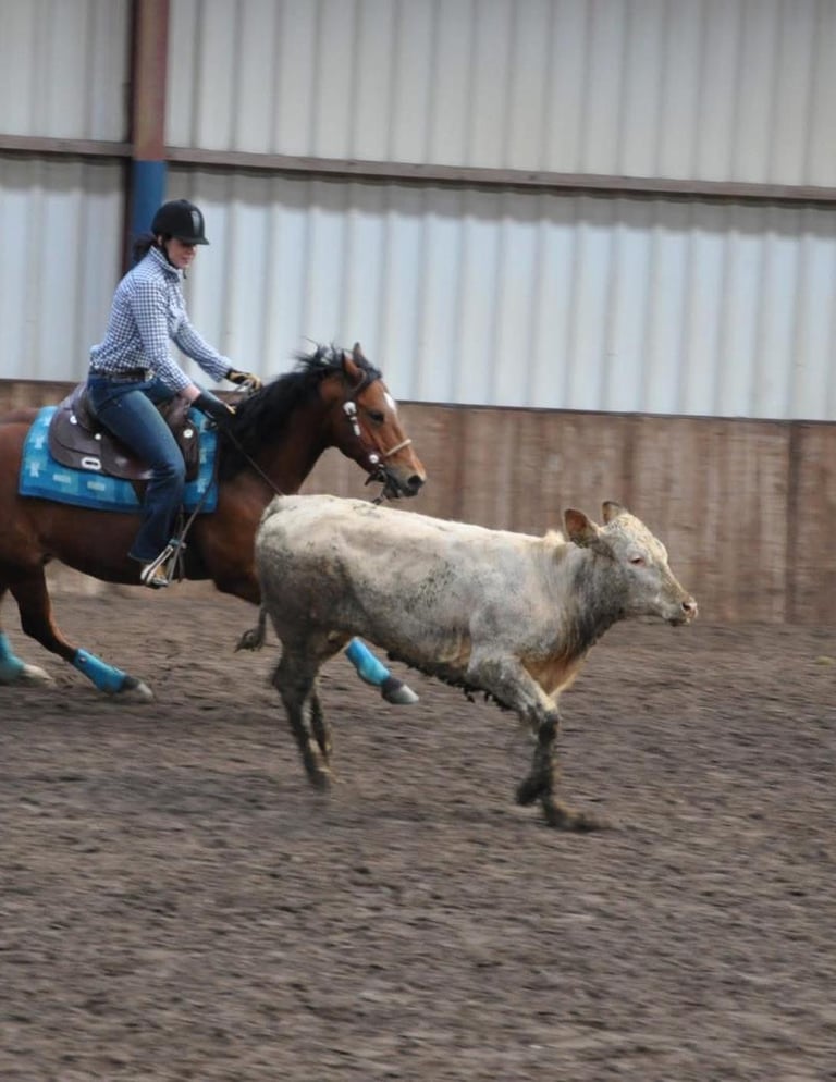 Vrouw op paard koe aan het drijven