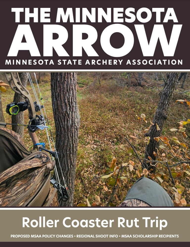 Minnesota Arrow Cover image