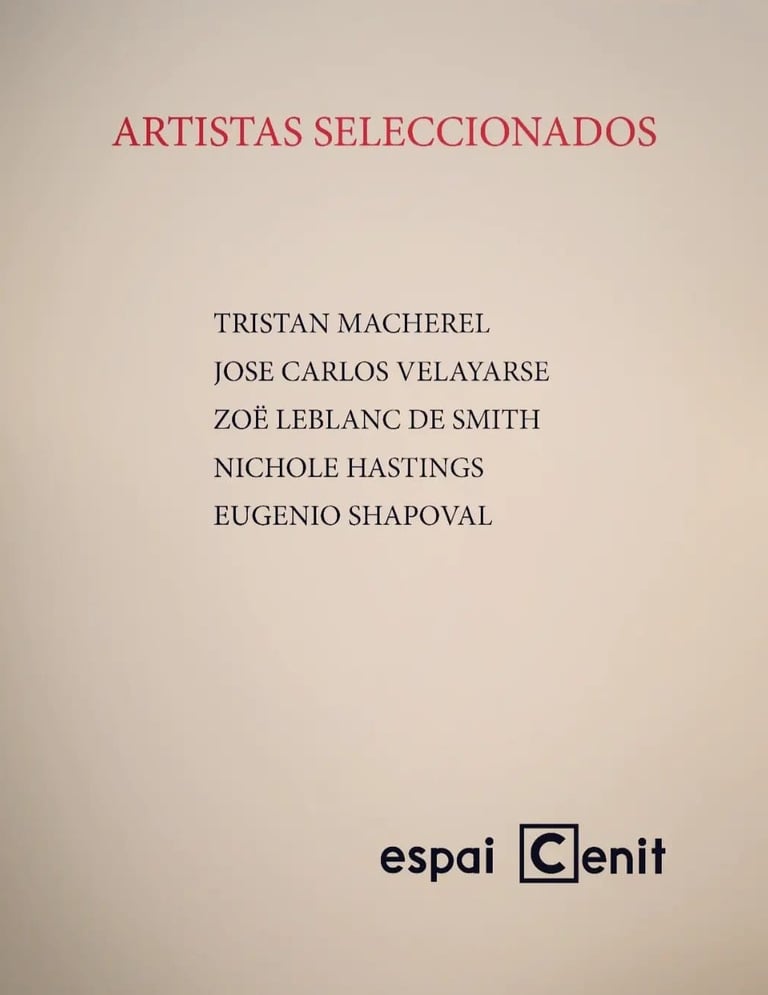 Convocatoria OPEN 2023 - Artistas Seleccionados - Espai Cenit