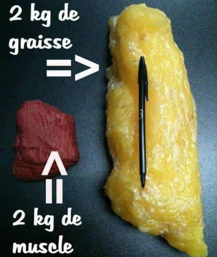 muscle vs graisse coach sportif amiens